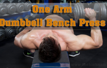 One Arm Dumbbell Bench Press – Nằm trên ghế phẳng một tay nhấc tạ đôi