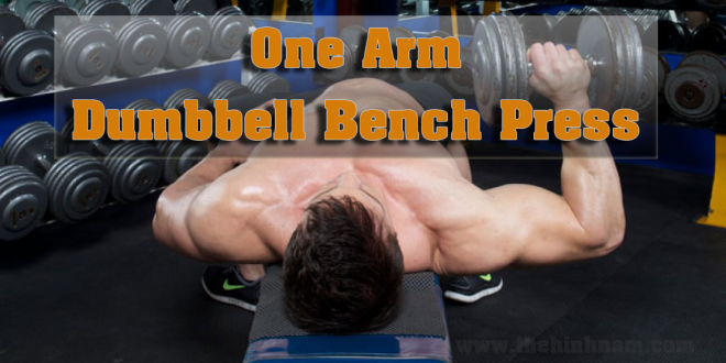 One Arm Dumbbell Bench Press – Nằm trên ghế phẳng một tay nhấc tạ đôi